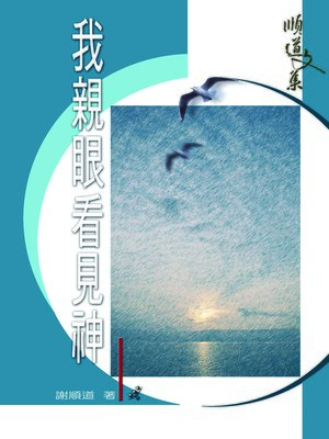 cover image of TJC--我親眼看見神 / 順道文集3